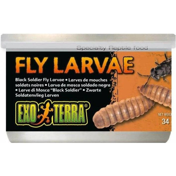 Exo Terra Canned Black Soldier Fly Larvae Specialty Reptile Food, 1.2 oz-Small Pet-Exo Terra-PetPhenom