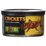 Exo Terra Canned Crickets Specialty Reptile Food, 1.2 oz-Small Pet-Exo Terra-PetPhenom