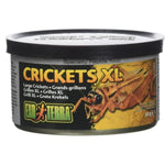 Exo Terra Canned Crickets XL Specialty Reptile Food, 1.2 oz-Small Pet-Exo Terra-PetPhenom
