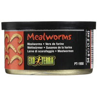 Exo Terra Canned Mealworms Specialty Reptile Food, 1.2 oz-Small Pet-Exo Terra-PetPhenom