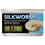 Exo Terra Canned Silkworms Specialty Reptile Food, 1.2 oz-Small Pet-Exo Terra-PetPhenom