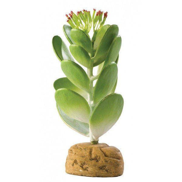 Exo-Terra Desert Jade Cactus Terrarium Plant, 1 Pack-Small Pet-Exo Terra-PetPhenom