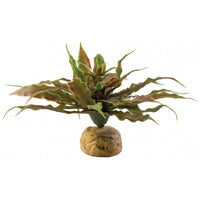 Exo-Terra Desert Star Cactus Terrarium Plant, 1 Pack-Small Pet-Exo Terra-PetPhenom