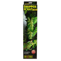 Exo-Terra Dripper Plant, Large - 1 Pack-Small Pet-Exo Terra-PetPhenom