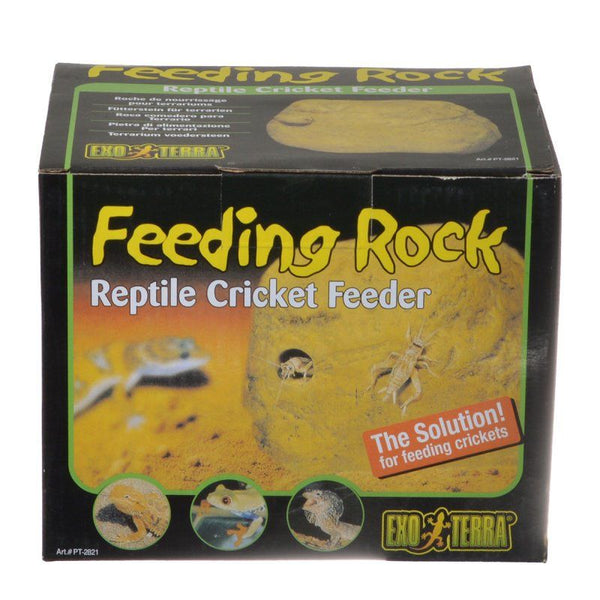 Exo-Terra Feeding Rock Reptile Cricket Feeder, 1 Pack-Small Pet-Exo Terra-PetPhenom