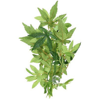 Exo-Terra Silk Abuliton Forest Plant, Large-Small Pet-Exo Terra-PetPhenom