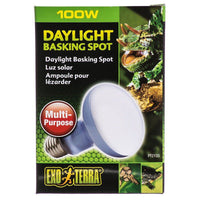 Exo-Terra Sun Glo Neodymium Basking Spot Lamps, 100 Watts-Small Pet-Exo Terra-PetPhenom