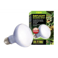 Exo-Terra Sun Glo Neodymium Basking Spot Lamps, 75 Watts-Small Pet-Exo Terra-PetPhenom