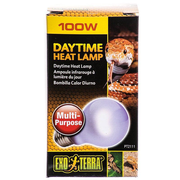 Exo-Terra Sun Glo Neodymium Daylight Lamps, 100 Watts - A19-Small Pet-Exo Terra-PetPhenom