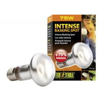 Exo-Terra Sun Glo Tight Beam Basking Spot Lamps, 75 Watts-Small Pet-Exo Terra-PetPhenom