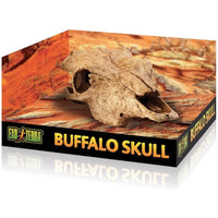 Exo Terra Terrarium Buffalo Skull Decoration, 1 count-Small Pet-Exo Terra-PetPhenom