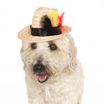 Fedora with Feather-Costumes-Rubies-M-L-PetPhenom