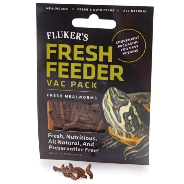 Flukers Mealworm Fresh Feeder Vac Pack , 0.7 oz-Small Pet-Flukers-PetPhenom