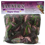 Flukers Purple Coleus Repta-Vines, 6' Long-Small Pet-Flukers-PetPhenom
