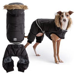 GF Pet Creekside Snowsuit by GF Pet -Large-Dog-GF Pet-PetPhenom