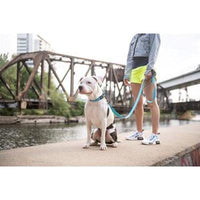 GF Pet Neon Blue Reflective Collars and Leashes by GF Pet -Eezy - 6 MED/LG Leash-Dog-GF Pet-PetPhenom