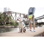 GF Pet Neon Blue Reflective Collars and Leashes by GF Pet -MED/LG Leash-Dog-GF Pet-PetPhenom