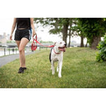 GF Pet Red Reflective Collars and Leashes by GF Pet -Eezy - 6 XS/SM Leash-Dog-GF Pet-PetPhenom