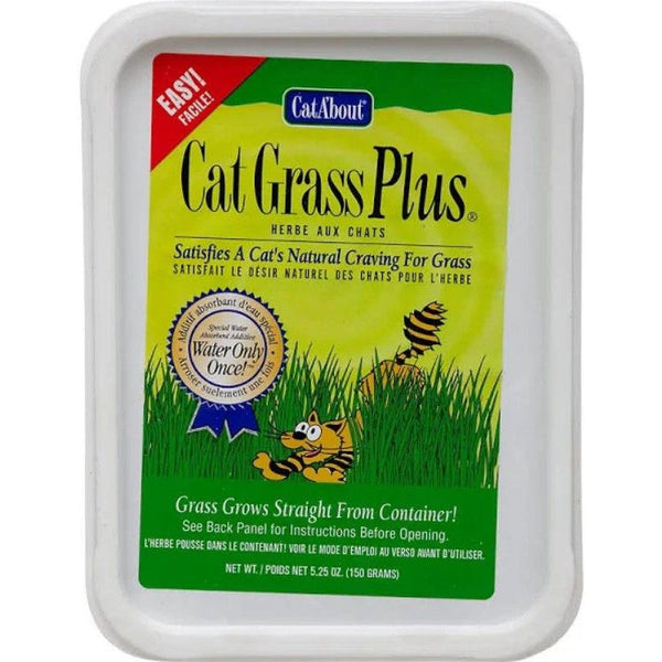 Gimborn Cat-A'bout Cat Grass Plus Multi-Cat, 1 count-Cat-Gimborn-PetPhenom