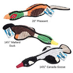 Grriggles Flying Flock Dog Toys -Mallard-Dog-Griggles-PetPhenom