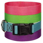 Guardian Gear Adjustable Dog Collars - 10"-16" x 5/8" - Light Green (43)-Dog-Guardian Gear-PetPhenom