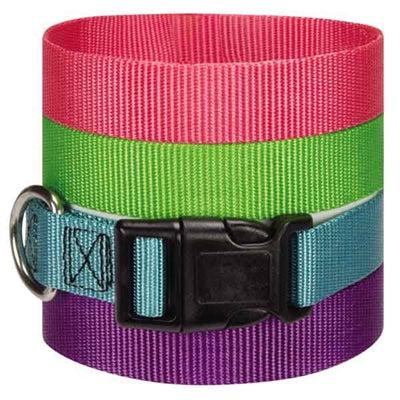 Guardian Gear Adjustable Dog Collars - 6"-10" x 3/8" - Hunter Green-Dog-Guardian Gear-PetPhenom