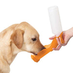 Guardian Gear Handi-Drink™ Water Dispenser -Carrot-Dog-Guardian Gear-PetPhenom