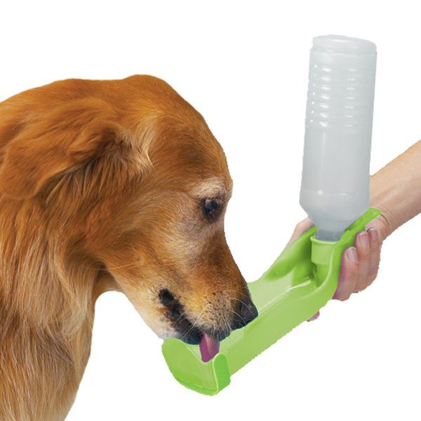 Guardian Gear Handi-Drink™ Water Dispenser -Lime-Dog-Guardian Gear-PetPhenom