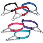 Guardian Gear Martingale Collars - 16-24 Inch - Red-Dog-Guardian Gear-PetPhenom