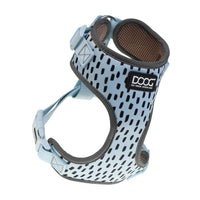 DOOG Neoflex Dog Harness Dash Small Blue/Black/Brown-Dog-DOOG-PetPhenom