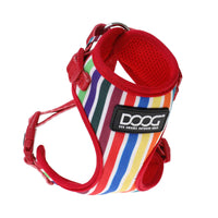 DOOG Neoflex Dog Harness Scooby Small Rainbow-Dog-DOOG-PetPhenom