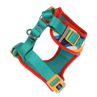 DOOG Neoflex Dog Harness Scout Extra Small Yellow/Blue/Red-Dog-DOOG-PetPhenom