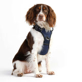 DOOG Neotech Dog Harness Large Navy-Dog-DOOG-PetPhenom