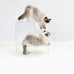 Hiddin Clear Cat Perch Blocks-Cat-Hiddin.co-PetPhenom