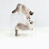 Hiddin Clear Cat Perch Blocks-Cat-Hiddin.co-PetPhenom