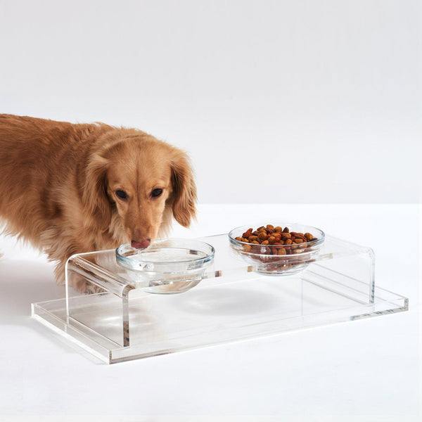 Hiddin Clear Double Dog Bowl Feeder with Glass Bowls | Options-Dog-Hiddin.co-1 Pint-PetPhenom