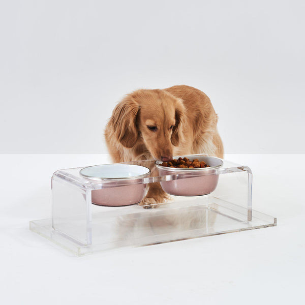 Hiddin Clear Double Dog Bowl Feeder with Rose Gold Bowls-Dog-Hiddin.co-PetPhenom