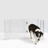 Hiddin Clear Pet Playpen, 32" High with Door | Options-Dog-Hiddin.co-None-No Doors on Additional Walls-PetPhenom