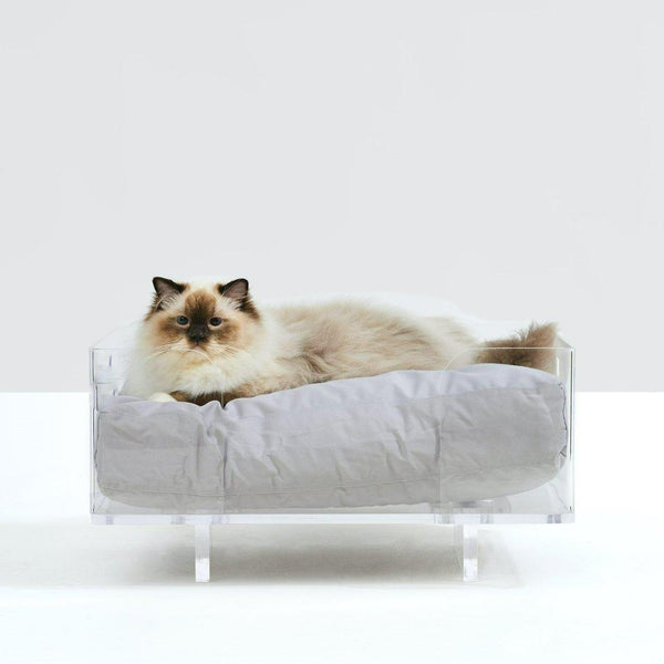 Hiddin Clear Rectangular Cat Bed-Cat-Hiddin.co-PetPhenom