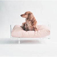 Hiddin Clear Rectangular Lucite Dog Bed-Dog-Hiddin.co-PetPhenom