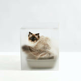 Hiddin Frosted Cat Litter Box Cover-Cat-Hiddin.co-PetPhenom