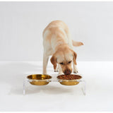Hiddin Large Clear Double Dog Bowl Feeder with Gold Bowls-Dog-Hiddin.co-PetPhenom