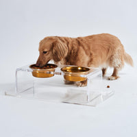 Hiddin Small Clear Double Dog Bowl Feeder with Gold Bowls-Dog-Hiddin.co-PetPhenom