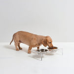 Hiddin Small Clear Double Dog Bowl Feeder with Silver Bowls-Dog-Hiddin.co-PetPhenom