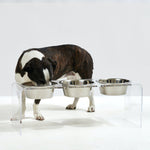 Hiddin Tall Clear Triple Dog Bowl Feeder with Silver Bowls-Dog-Hiddin.co-PetPhenom