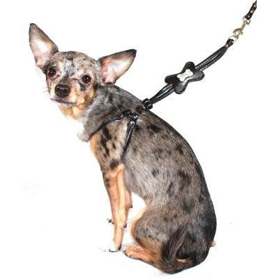 Hip Doggie Inc. Black Bone Designer Charm Step-in Harness by Hip Doggie -Medium-Dog-Hip Doggie Inc.-PetPhenom