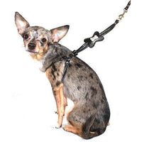 Hip Doggie Inc. Black Bone Designer Charm Step-in Harness by Hip Doggie -Small-Dog-Hip Doggie Inc.-PetPhenom