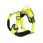 Hurtta Active Dazzle Harness - Size 18" - Hi-Viz Orange-Dog-Hurtta-PetPhenom