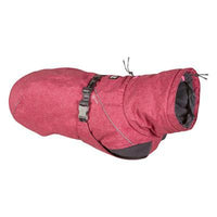 Hurtta Expedition Parka - 10 in - Beetroot-Dog-Hurtta-PetPhenom