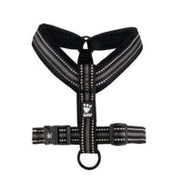 Hurtta Padded Y Harness 2 - 24" - Juniper-Dog-Hurtta-PetPhenom